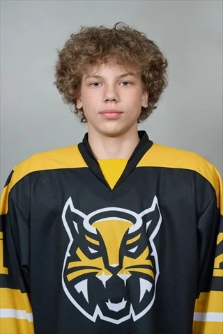 Matrenichev Artem Dmitrievich
