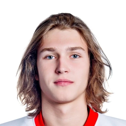 Dubrovskii Nikita Dmitrievich