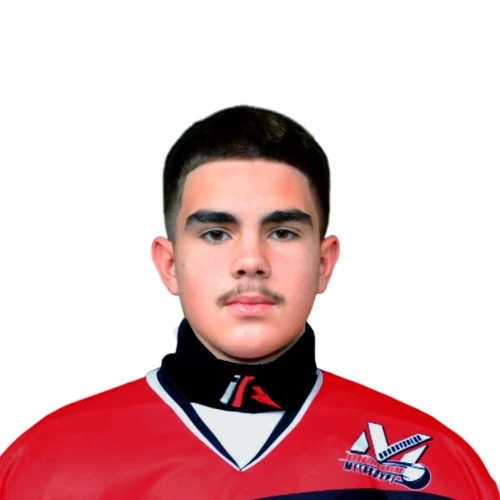 Gorobets Timur Olegovich