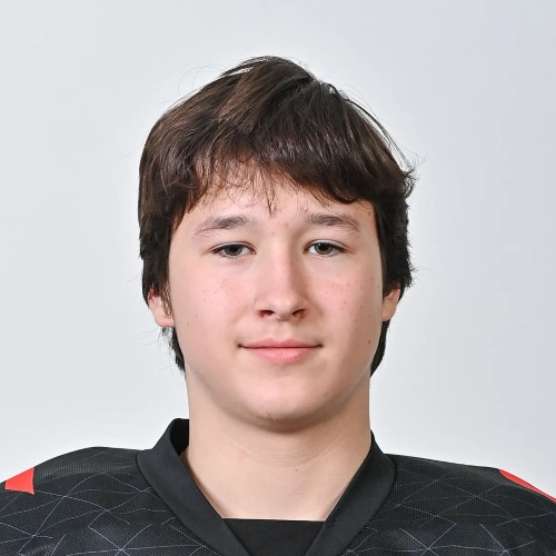 Kucheresku Vladislav Denisovich