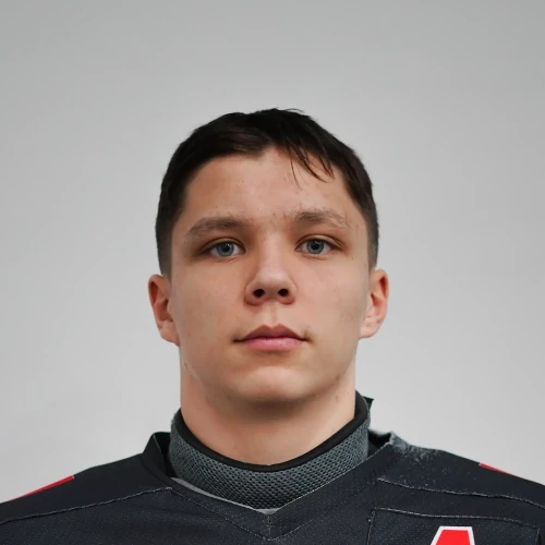 Taramasov Artem Maratovich