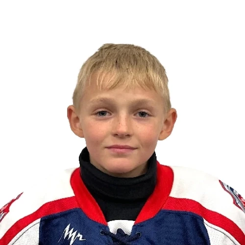 Sitnikov Gleb Vladimirovich