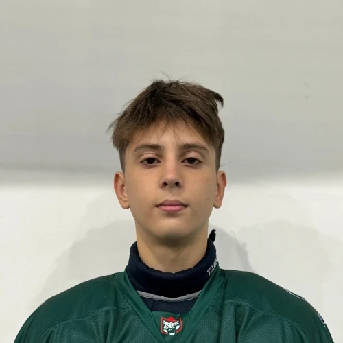 Gabdrahmanov Radmir Rafaelevich