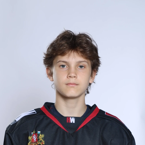 Plotnikov Dmitrii Mihailovich