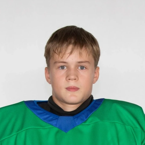 Sharifullin Aleksandr Vadimovich