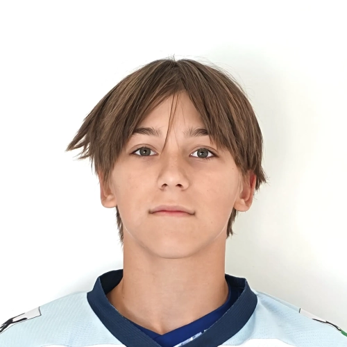 Lytkin Timofei Vitalevich