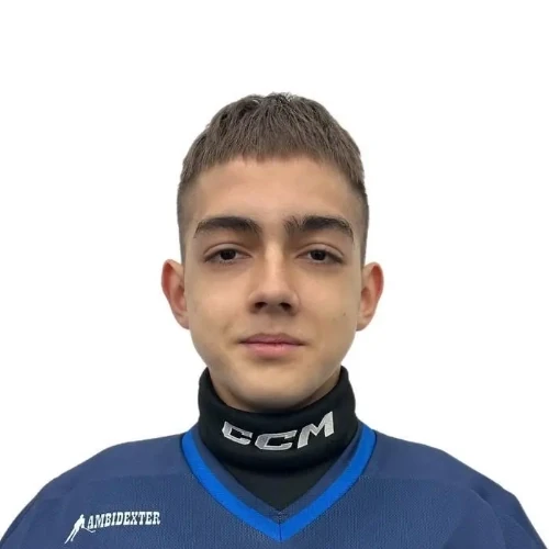 Aleev Rinat Ramilevich