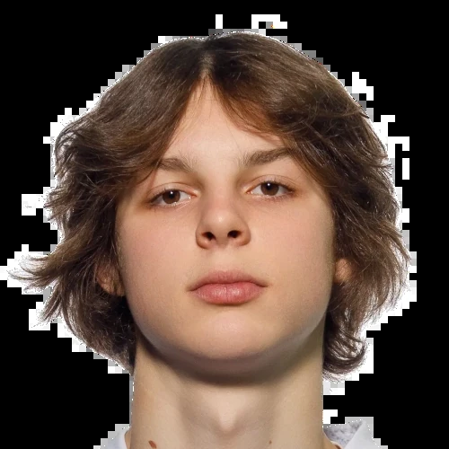 Shibaev Mark Evgenevich