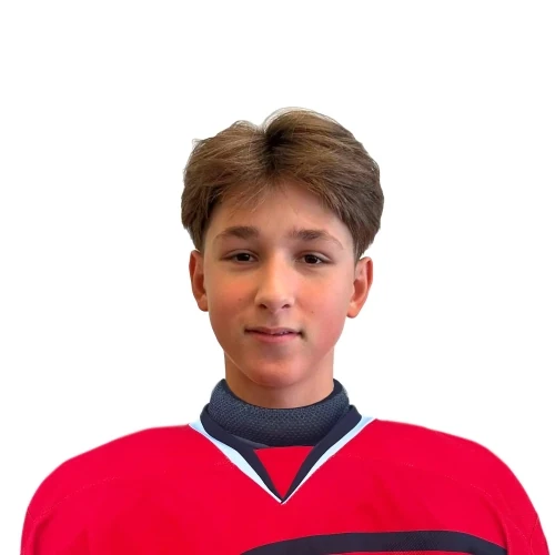 Volkov Roman Dmitrievich