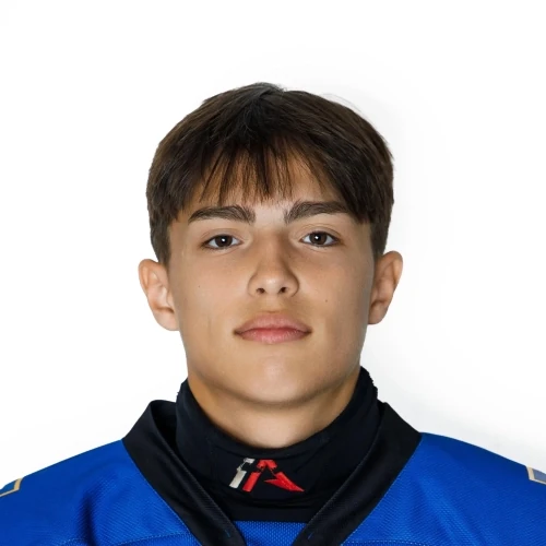 Nikitin Denis Maksimovich