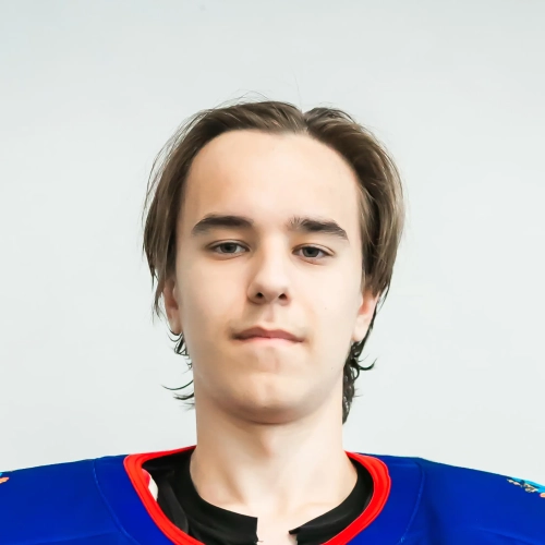 Degtyarev Matvei Pavlovich