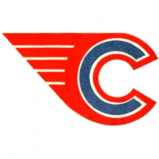 Cпутник