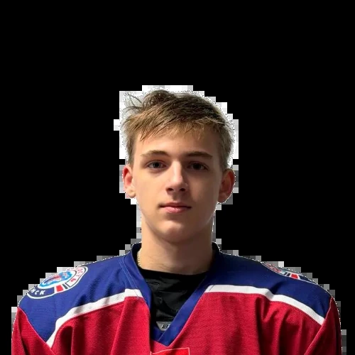 Demidovich Nikita Dmitrievich