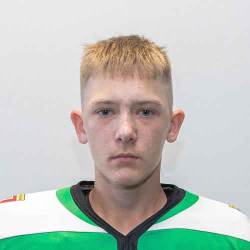 Sokolnikov Makar Ivanovich