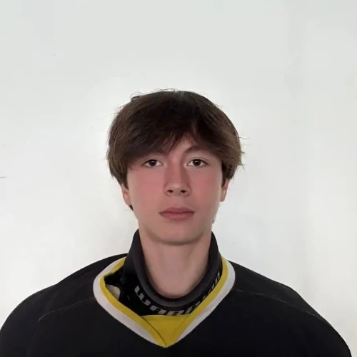Nizamutdinov Marsel Azatovich