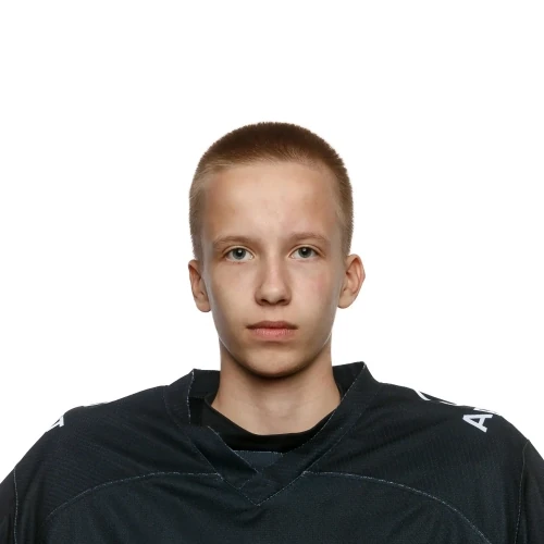 Gorshkov Arsenii Mihailovich
