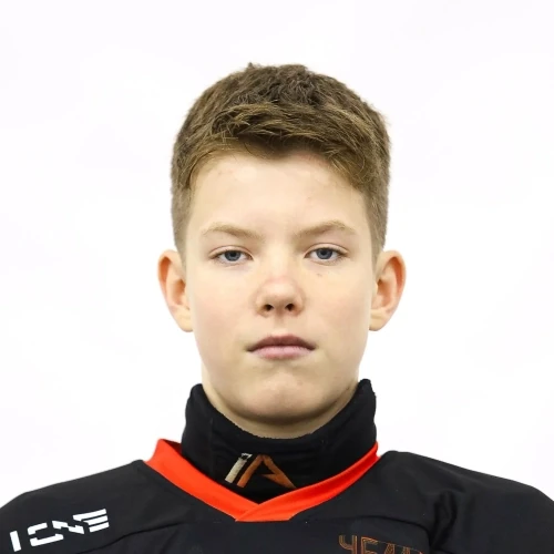 Zaostrovskii Nikita Sergeevich