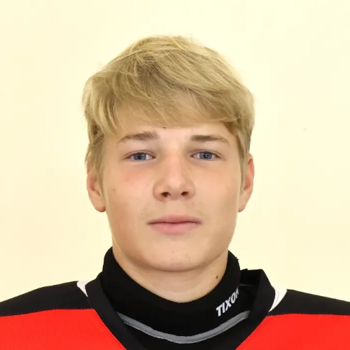 Gafiev Danil Leonidovich