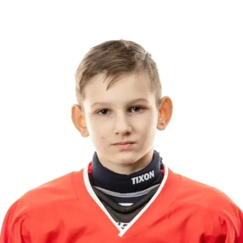 Petrikeev Artemii Dmitrievich