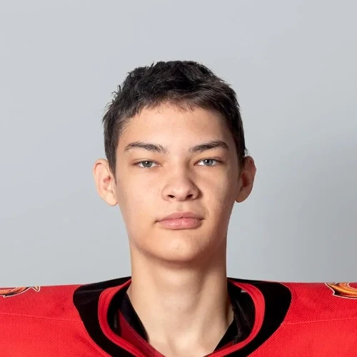Nemytyh Yaroslav Andreevich