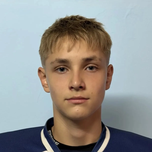 Stepanenko Roman Konstantinovich