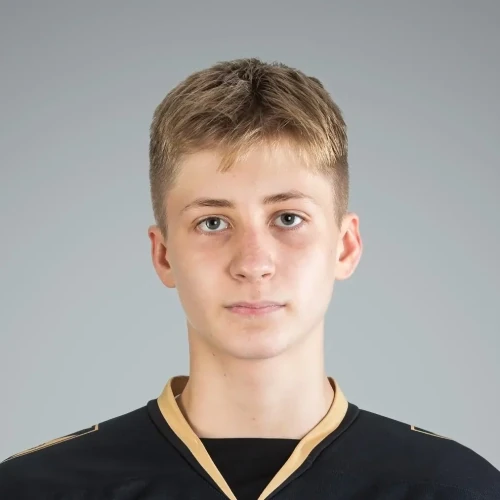 Lazarenko Ilya Pavlovich