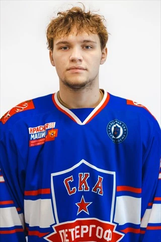 Tolokonov Vladimir Vladimirovich