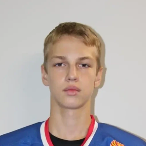Poberezhnyi Vladislav Vladimirovich