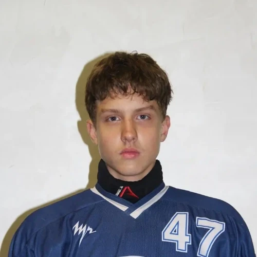 Romanovskii Vladimir Anatolevich
