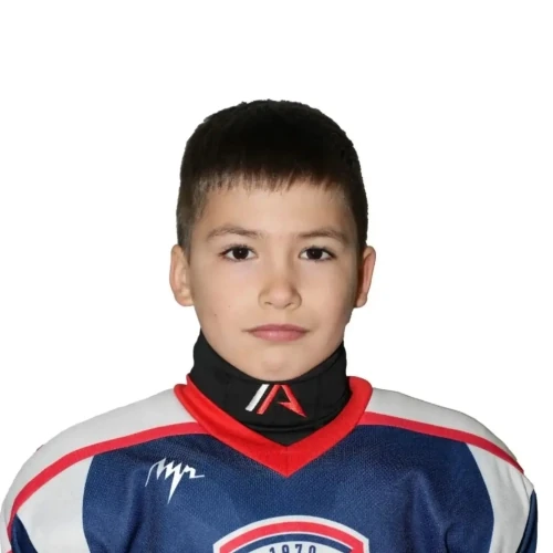 Bogoslovskii Aleksandr Dmitrievich
