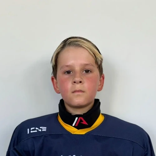 Smirnov Demid