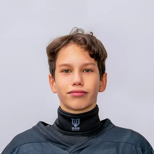 Lipatnikov Dmitrii Alekseevich