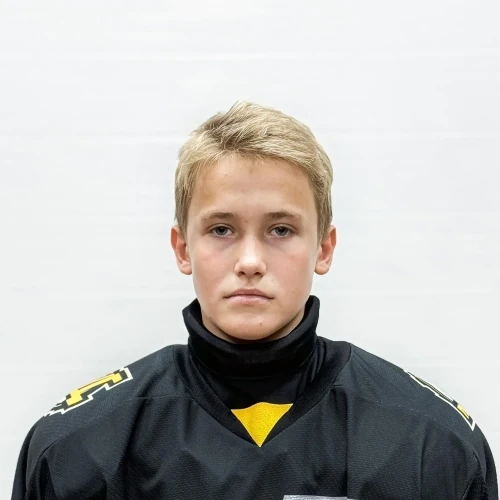 Gonyakin Artem Alekseevich