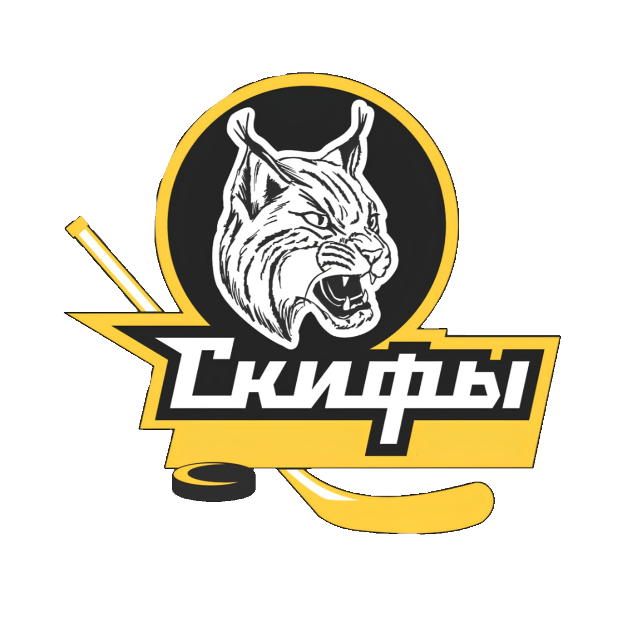 ХК Скифы
