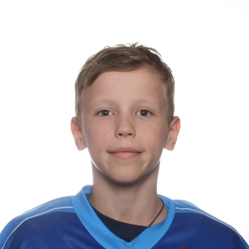 Pavlyuchenko Nikita Alekseevich