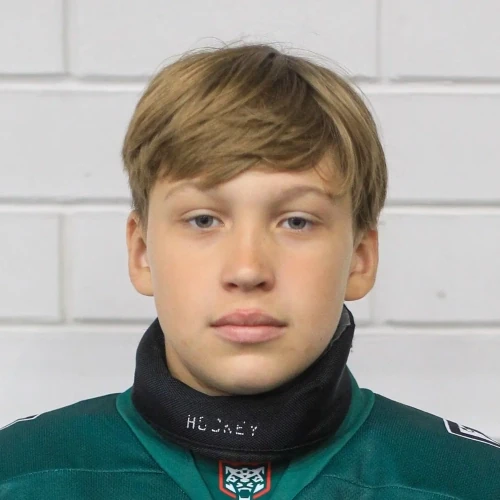 Davletshin Amir Albertovich