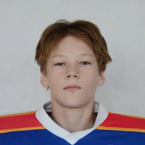 Gromin Bogdan Alekseevich