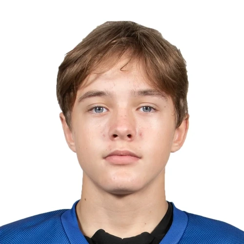 Aleshin Roman Andreevich