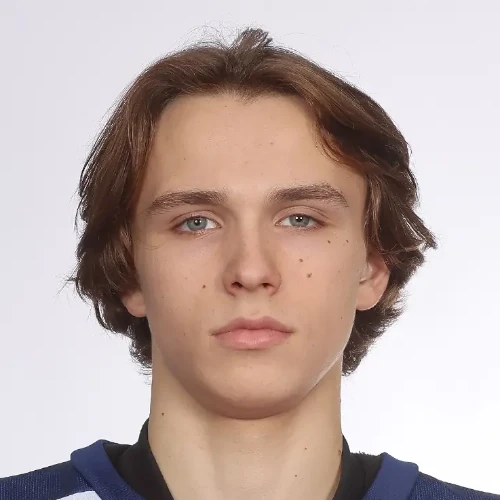 Matyushin Dmitrii Sergeevich