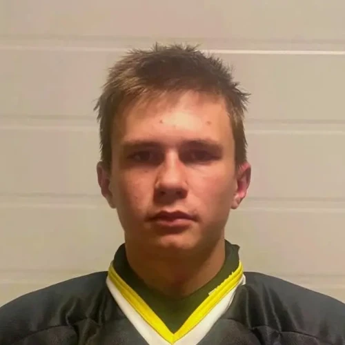 Sergienko Egor Vitalevich
