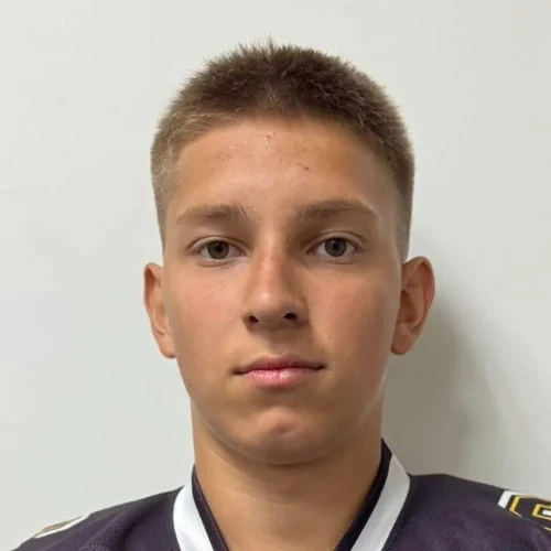 Klyuchnikov Matvei Dmitrievich