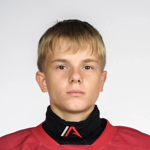 Starodubov Ilya Igorevich