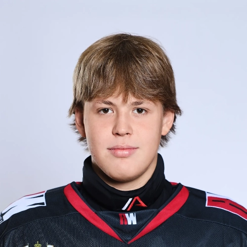 Chesnokov Grigorii Romanovich