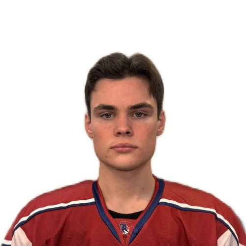 Vitrik Danil Mihailovich