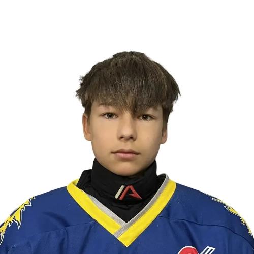 Alekseev Artem Sergeevich