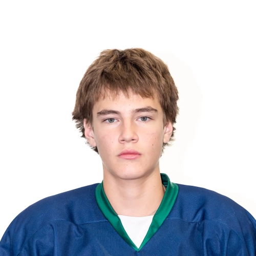 Vishnyakov Arsenii Vitalevich