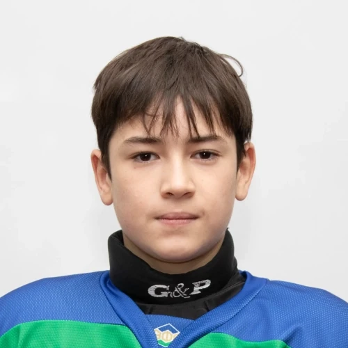 Sharipov Amir Timurovich