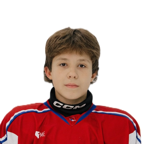 Loginov Maksim Aleksandrovich