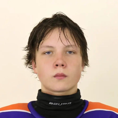 Goldyrev Maksim Igorevich