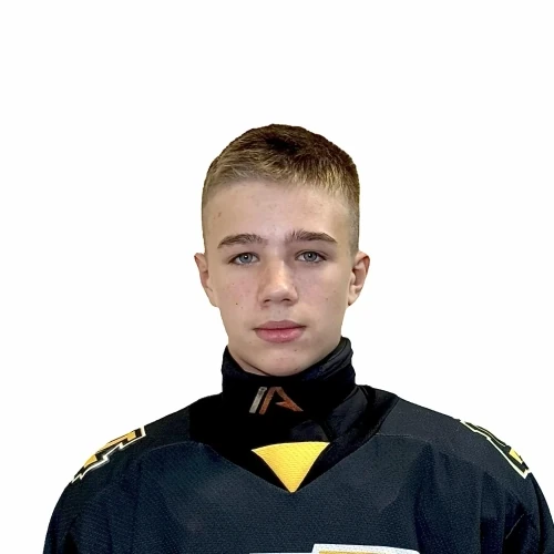Tyapkin Nikolai Sergeevich